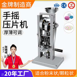 实验室电动药片压片机小型全自动奶片药粉制片机中药椰子糖打片机