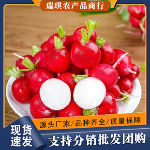 �����}�����r����ˮ��10���r���߲�С�t�}���������ɳ�������pʳ