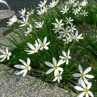 �������l�L���m�N���^�p�[�m������������ļ�ֲ�ﻨ�ܾGֲ�²�