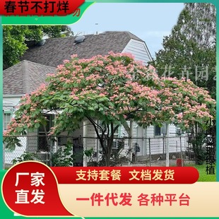 һ�����lܽ�ؘ���q�����y�~��Ϛg�������ľͥԺ�ϱ���