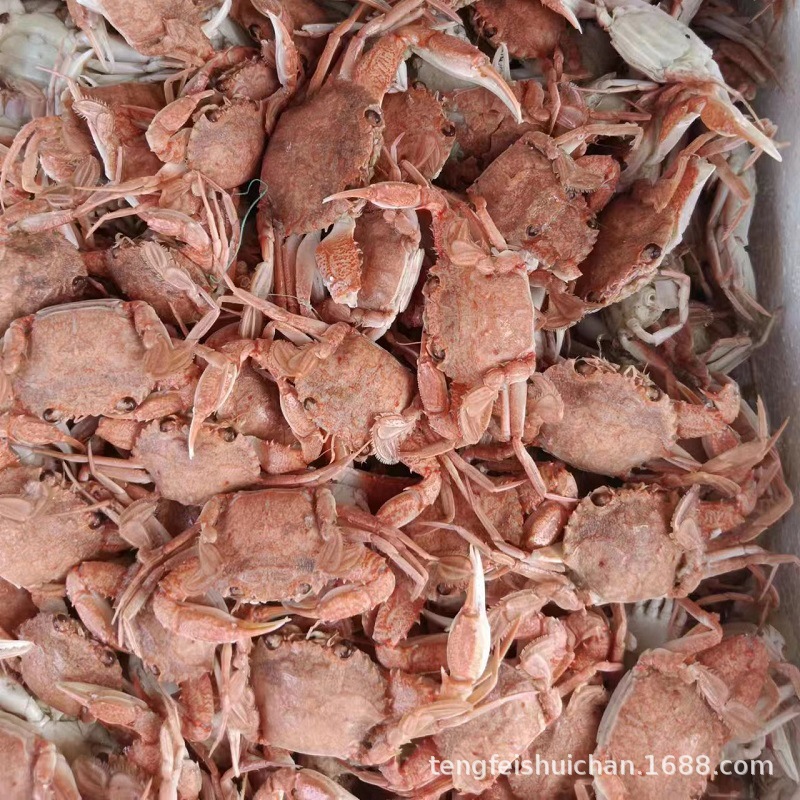 lADPKHQpUfuosDzNBqrNBQA_1280_1