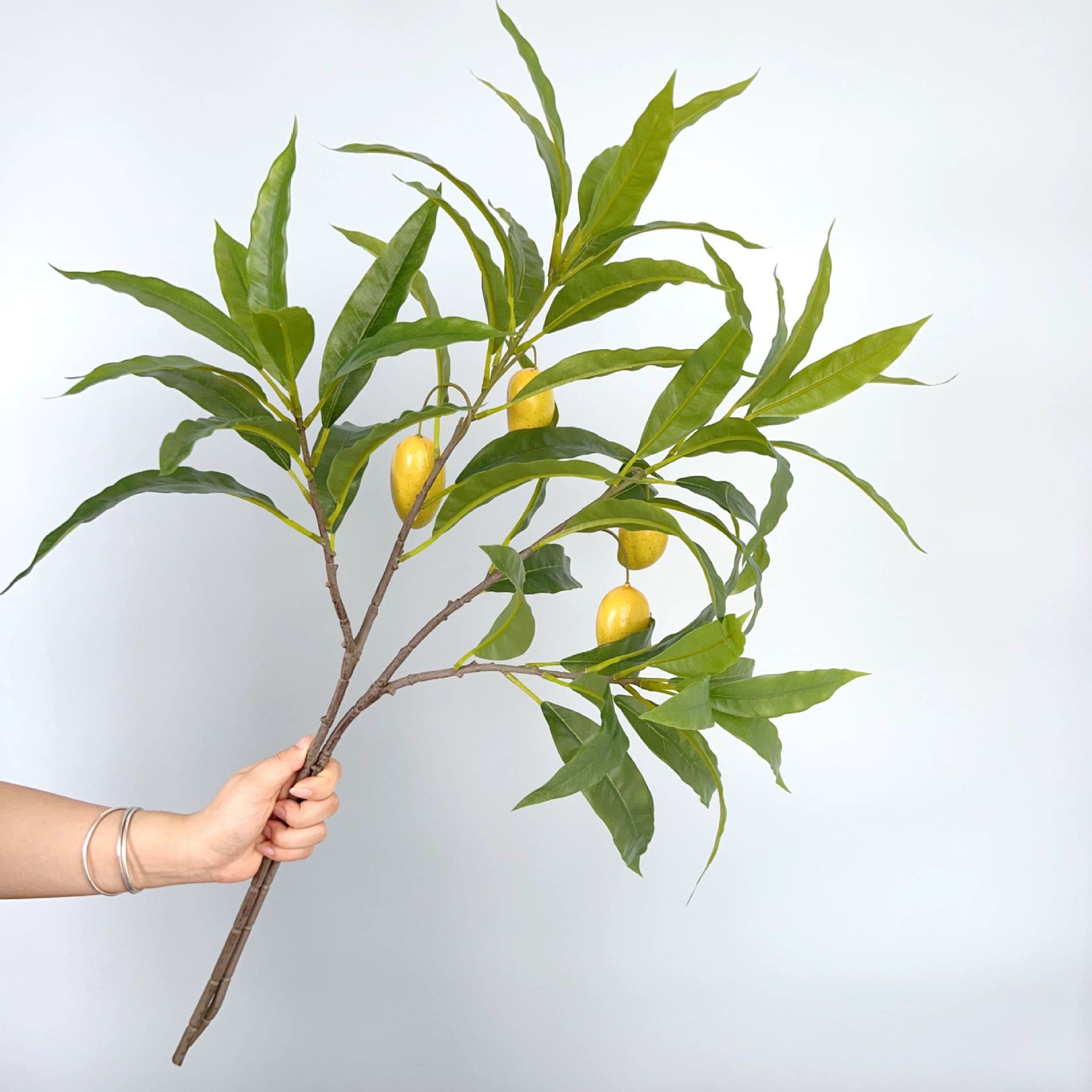 Моделирование фруктовых ветвей манго с фруктами