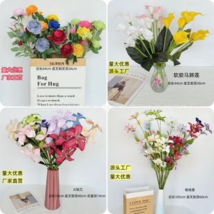 �羳�����F��ɏ��ĵ��ܛ�z�R��ɏ�����m�ٻ���c�����bҾӲ廨