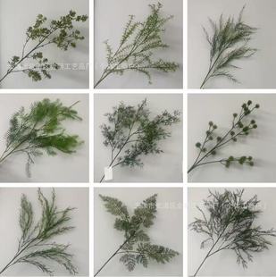 ɭɫϵGֲTǧӽ횲ݴ҃Ⲽ