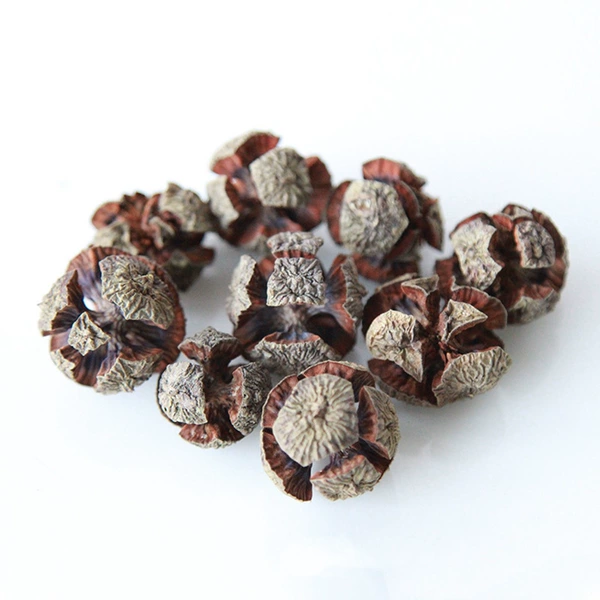 5 soccer cones - dried flower bag