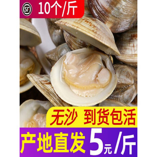 ���۳����ش��r��oɳ�ĸ򻨸���S͘�ӻ���ؐ��r����oɳ��ؐ