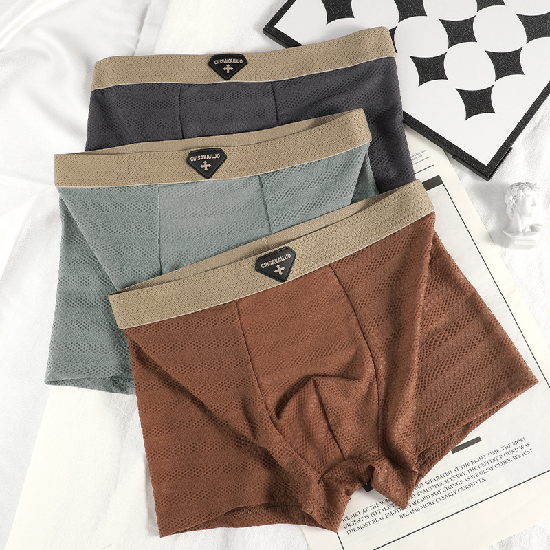 Ropa interior de seda de hielo para hombres, transpirable de gran tamaño, tendencia, jóvenes japoneses, antibacterianos, entrepierna, calzoncillos, bóxer para estudiantes, hombres