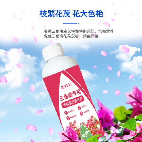 Bougainvillea nutrient solution promotes flowering, prevents yellowing leaves, and sprays large flowers and blooms in all seasons. Special fertilizer for bougainvillea wholesale.
