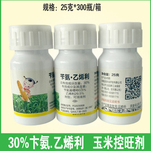 30%�а���ϩ�� �а���������ϩ�����װ����ؿ��������{����25��