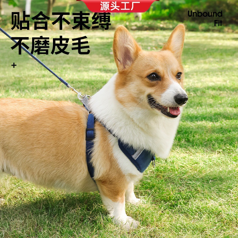 麂皮絨反光寵物胸背帶中小型犬背心式狗胸帶貓咪寵物牽引繩遛狗繩