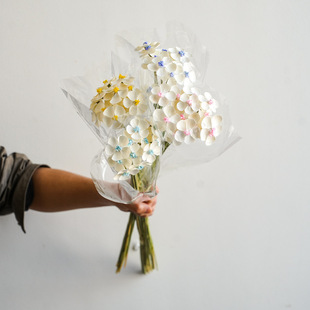 ���_�m �����m�ɻ���ճ��ֲ���ֹ�ˇ�g�ɻ� ���С���¼ҾӲ廨