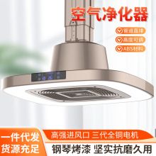 室内空气净化器棋牌室麻将机吸烟灯茶楼馆直排抽烟净化器手动升降