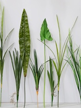 �Gɫ�m���~�ӻ�ֲ��ٻ��͏d�Ҿ�����L֦�Gֲ�b�Ʒ���ϻ���