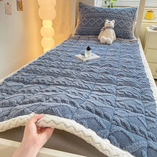 Class a Milk Velvet Mattress Student Dormitory Single and Double Mattress Winter Thickeneded Household Machine Washable Taffeta Mattress