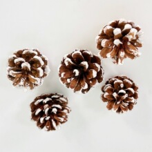 ˢ���ɹ�ѩ�ɹ��������������ɰ��ɹ��L⏒���o����޹���ϰ�DIY