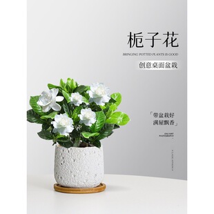 С�~�d�ӻ������������k�����҃Ⱥ��B���^���͏d���ܳ��G����[��