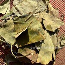 �����h����ș���y���~����y���~Ƭ��؛�y���~Ұ���y���~