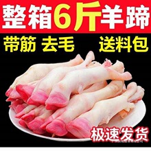 ���r������6�������㎧��F�����_�����צ���_�����r����������