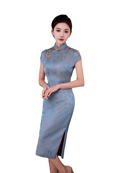 Fashionable elegant cheongsam