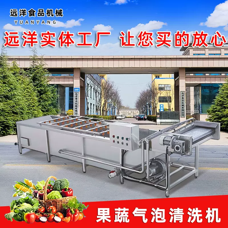 全自动喷淋气泡清洗机 果蔬中药材气泡清洗设备 水产贝类海带清洗