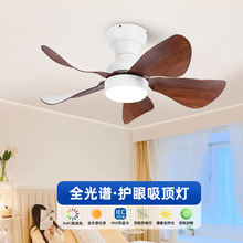 ���ȟ�2025���¿�W����ȟ����ȟ����L�����d�͏d����һ�w