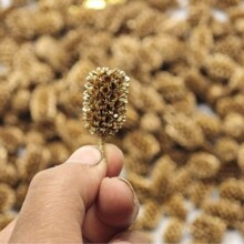 Ⱦ��ľ���S���LDIY������޹ƿϞ�Tֲ��˱�����bɹ��ֹ�