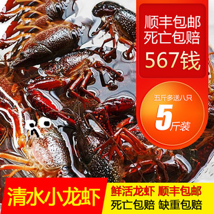 5��456�X��������С���r�r������ˮ�����r��t���ش���r��S