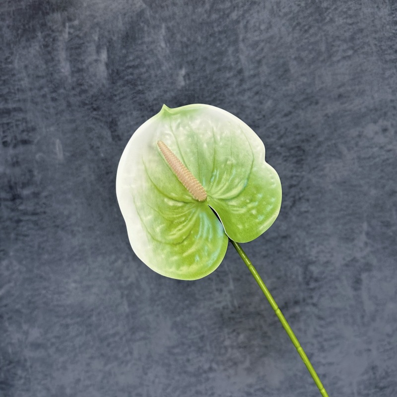 Decoración de Escenarios de Boda con Anturios Simulados, Decoración del Hogar, Accesorios de Fotografía, Adornos de Flores Artificiales en 3D para Venta al por Mayor