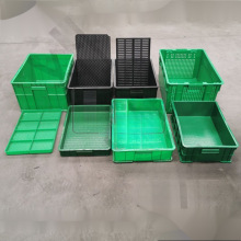 ѿ�������P����ѿˮ����ˮ�໨���Nֲ�䶹ѿ��Ҏģ�Nֲ��Ĭ�J