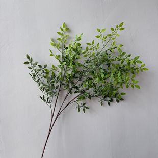 �����ָ�ܛ�z������ ��Y���쾰ܛ�b���b�ɭϵ��픾Gֲ�羳���u