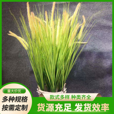 工程造景花草狗尾巴草洋蔥草蘆葦草植物家居裝飾道具婚慶布置道具