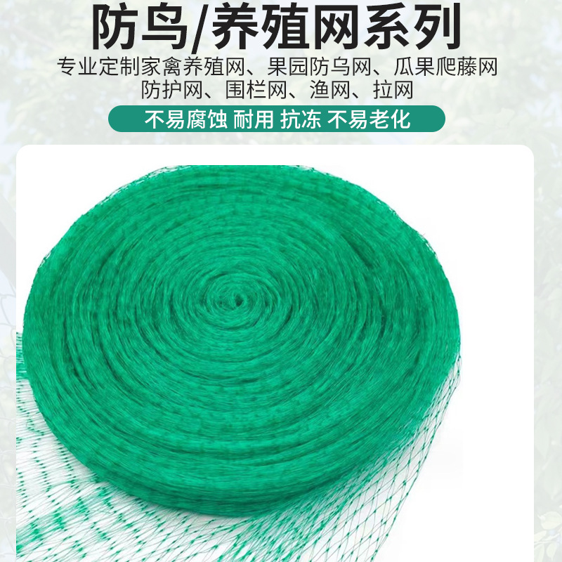 防鸟网聚乙烯网防风网养鱼网养鸡网爬藤网球场围网水产养殖网顶网