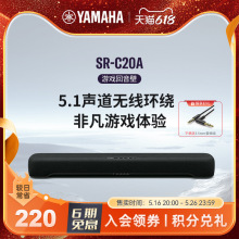 ���]/ SR-C20A �{����X������5.1���h�@����Α�