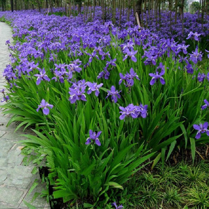 567241879058s9c2515dd-2282-4d5