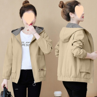 �紺Ůʿ������2025�¿��Bñ�������e���ꋌ���b���@�݊A������