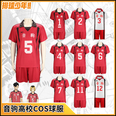 バレーボール少年cosスーツ烏野高校日向翔陽コスプレスーツ鳥沢AD青城半袖ボールスーツ