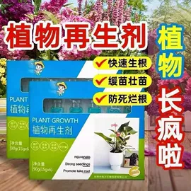 清洁球/刷;厨房小工具;其他居家日用