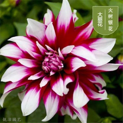 微信图片_20210607113642