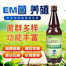 中美普可养殖型EM菌液补充动物肠道益生菌功能丰富菌群多样工厂销