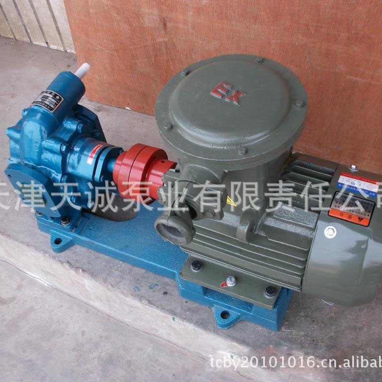 防爆齿轮泵KCB200/不锈钢齿轮泵/耐腐蚀齿轮泵/船用泵/食品泵