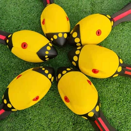 足球训练用具;田径用品;其他健身器材