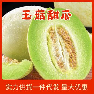 ���տ졿���������3/5�����r�r�������Ȫ��¶��Ů������ܹ�