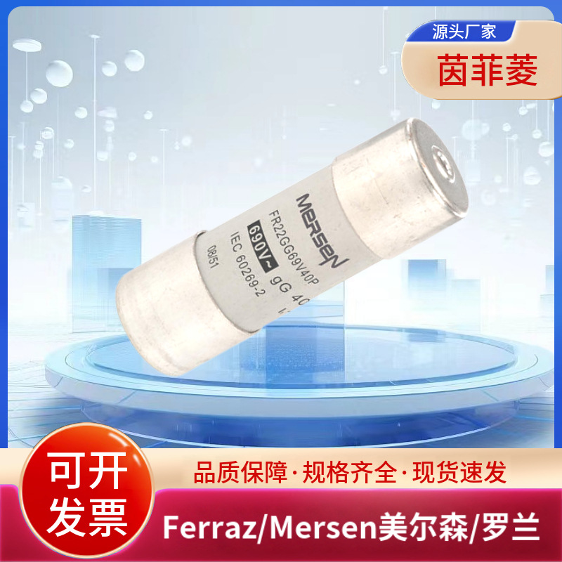 美尔森/罗兰熔断器FR22GG69V32P FR22GG69V40P FR22GG69V50P