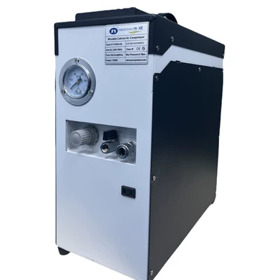Compressor Portable Laboratory Air Blowing | Hava kompressorları