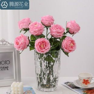 ���滨 �W˹͡����õ�� �ָб��W�Ҿ�ܛ�b�c�zӰ�[������ٻ�