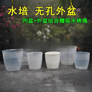 �A������͸���Ӻ�ˮ����������m���趨ֲ�@�o�׷NֲӲ������̫��