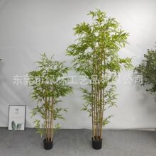 ���������辰��ŷ������ֲװ�����ڼҾӿ����칫������ؼ�ֲ��