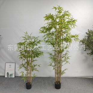 ���������辰���W���;Gֲ�b��҃ȼҾӿ͏d�k�����L��ؼ�ֲ��