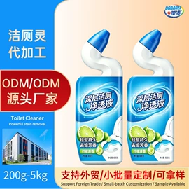 马桶洁厕剂;洗衣粉;家居清洁护理