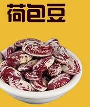 五谷杂粮芸豆组合5斤云南红腰豆雀蛋豆金丝豆荷包豆五种混合口味
